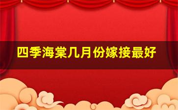 四季海棠几月份嫁接最好