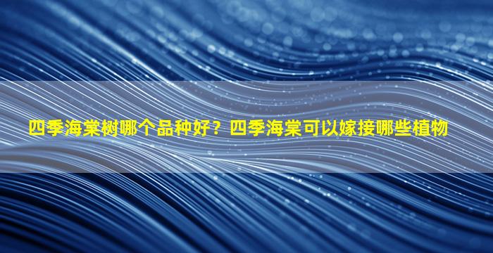 四季海棠树哪个品种好？四季海棠可以嫁接哪些植物