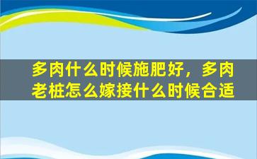 多肉什么时候施肥好，多肉老桩怎么嫁接什么时候合适