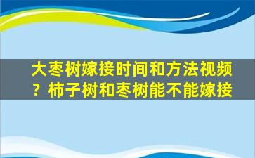 大枣树嫁接时间和方法视频？柿子树和枣树能不能嫁接