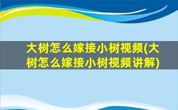 大树怎么嫁接小树视频(大树怎么嫁接小树视频讲解)