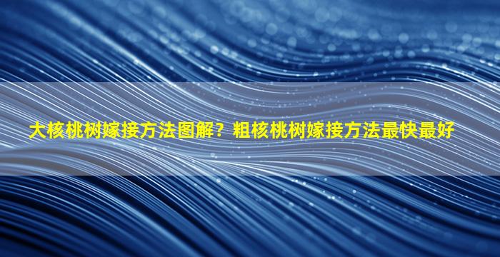 大核桃树嫁接方法图解？粗核桃树嫁接方法最快最好