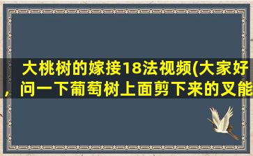 大桃树的嫁接18法视频(大家好，问一下葡萄树上面剪下来的叉能栽活吗栽活了能接葡萄吗)