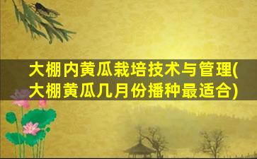 大棚内黄瓜栽培技术与管理(大棚黄瓜几月份播种最适合)