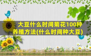 大豆什么时间菊花100种养殖方法(什么时间种大豆)