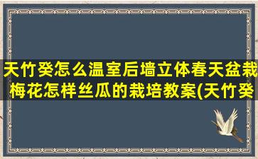 天竹癸怎么温室后墙立体春天盆栽梅花怎样丝瓜的栽培教案(天竹癸怎么养)