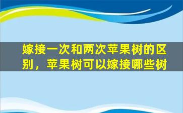 嫁接一次和两次苹果树的区别，苹果树可以嫁接哪些树