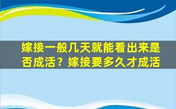 嫁接一般几天就能看出来是否成活？嫁接要多久才成活