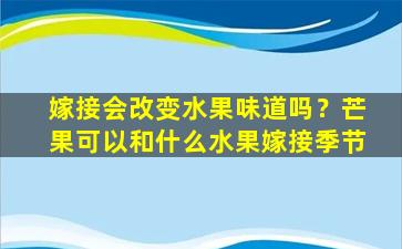 嫁接会改变水果味道吗？芒果可以和什么水果嫁接季节