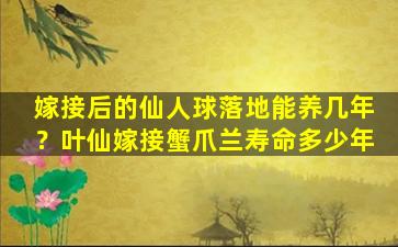 嫁接后的仙人球落地能养几年？叶仙嫁接蟹爪兰寿命多少年