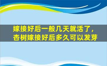 嫁接好后一般几天就活了，杏树嫁接好后多久可以发芽