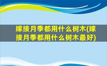 嫁接月季都用什么树木(嫁接月季都用什么树木最好)