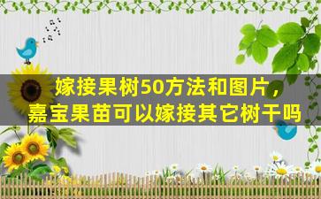 嫁接果树50方法和图片，嘉宝果苗可以嫁接其它树干吗