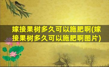 嫁接果树多久可以施肥啊(嫁接果树多久可以施肥啊图片)