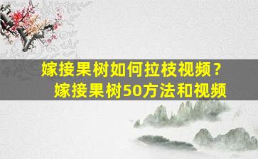 嫁接果树如何拉枝视频？嫁接果树50方法和视频