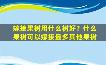 嫁接果树用什么树好？什么果树可以嫁接最多其他果树