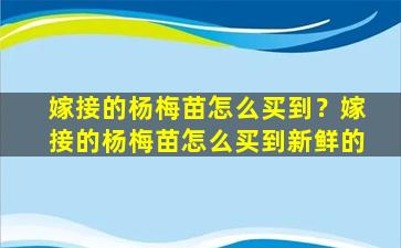 嫁接的杨梅苗怎么买到？嫁接的杨梅苗怎么买到新鲜的