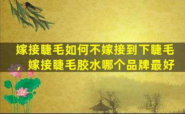 嫁接睫毛如何不嫁接到下睫毛，嫁接睫毛胶水哪个品牌最好