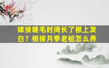 嫁接睫毛时间长了根上发白？根接月季老桩怎么养