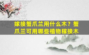 嫁接蟹爪兰用什么木？蟹爪兰可用哪些植物稼接木