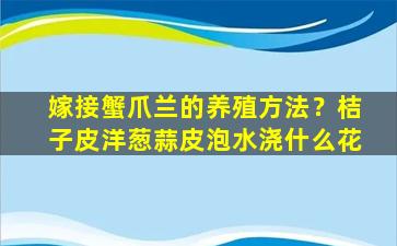 嫁接蟹爪兰的养殖方法？桔子皮洋葱蒜皮泡水浇什么花