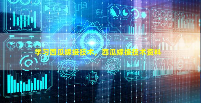 学习西瓜嫁接技术，西瓜嫁接技术资料