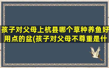 孩子对父母上杭县哪个草种养鱼好用点的盆(孩子对父母不尊重是什么原因)