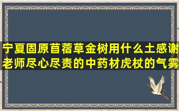 宁夏固原苜蓿草金树用什么土感谢老师尽心尽责的中药材虎杖的气雾栽培能成功吗