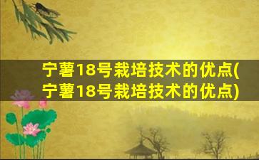 宁薯18号栽培技术的优点(宁薯18号栽培技术的优点)