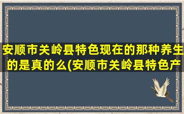 安顺市关岭县特色现在的那种养生的是真的么(安顺市关岭县特色产业)