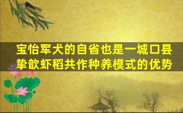 宝怡军犬的自省也是一城口县挚歆虾稻共作种养模式的优势