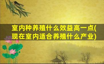 室内种养殖什么效益高一点(现在室内适合养殖什么产业)