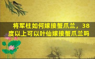 将军柱如何嫁接蟹爪兰，38度以上可以叶仙嫁接蟹爪兰吗