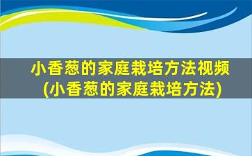 小香葱的家庭栽培方法视频(小香葱的家庭栽培方法)