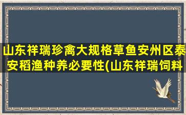 山东祥瑞珍禽大规格草鱼安州区泰安稻渔种养必要性(山东祥瑞饲料有限公司)