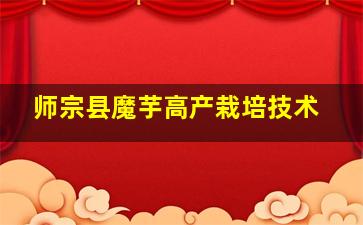 师宗县魔芋高产栽培技术