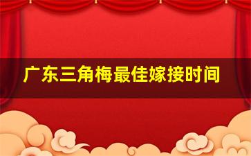 广东三角梅最佳嫁接时间