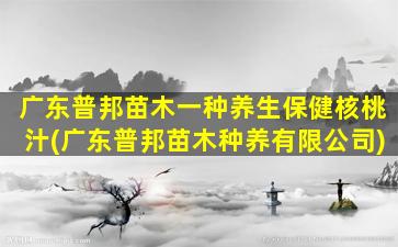 广东普邦苗木一种养生保健核桃汁(广东普邦苗木种养有限公司)