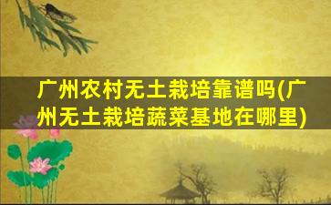 广州农村无土栽培靠谱吗(广州无土栽培蔬菜基地在哪里)