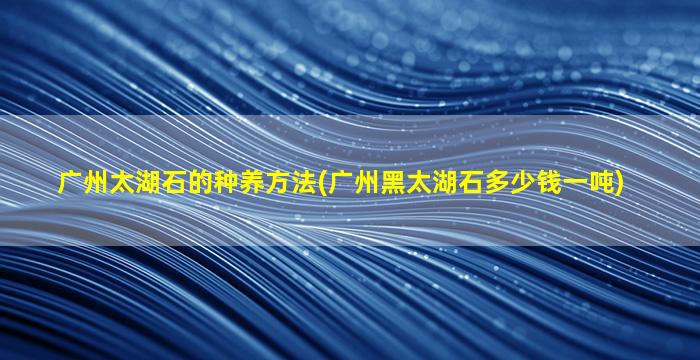 广州太湖石的种养方法(广州黑太湖石多少钱一吨)