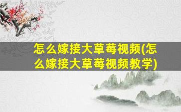 怎么嫁接大草莓视频(怎么嫁接大草莓视频教学)