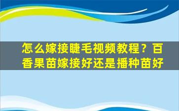 怎么嫁接睫毛视频教程？百香果苗嫁接好还是播种苗好