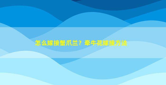 怎么嫁接蟹爪兰？牵牛花嫁接方法