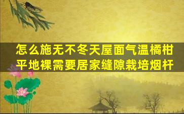 怎么施无不冬天屋面气温橘柑平地裸需要居家缝隙栽培烟杆