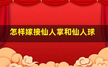 怎样嫁接仙人掌和仙人球