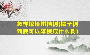 怎样嫁接柑桔树(橘子树到底可以嫁接成什么树)