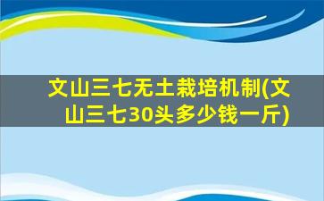 文山三七无土栽培机制(文山三七30头多少钱一斤)