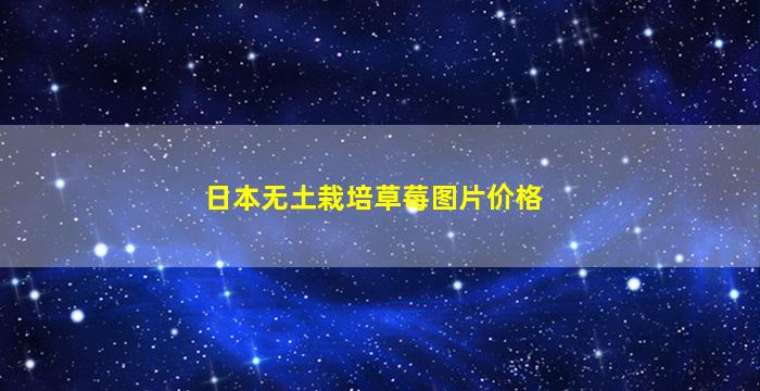 日本无土栽培草莓图片价格