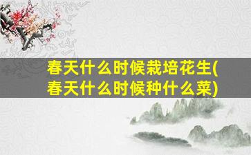 春天什么时候栽培花生(春天什么时候种什么菜)