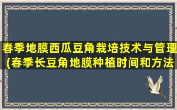 春季地膜西瓜豆角栽培技术与管理(春季长豆角地膜种植时间和方法)